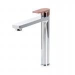 The Gabe Leva High Rise Basin Mixer